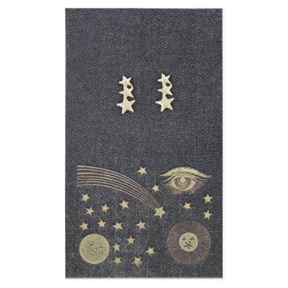 Book Lovers Stars Post Earrings